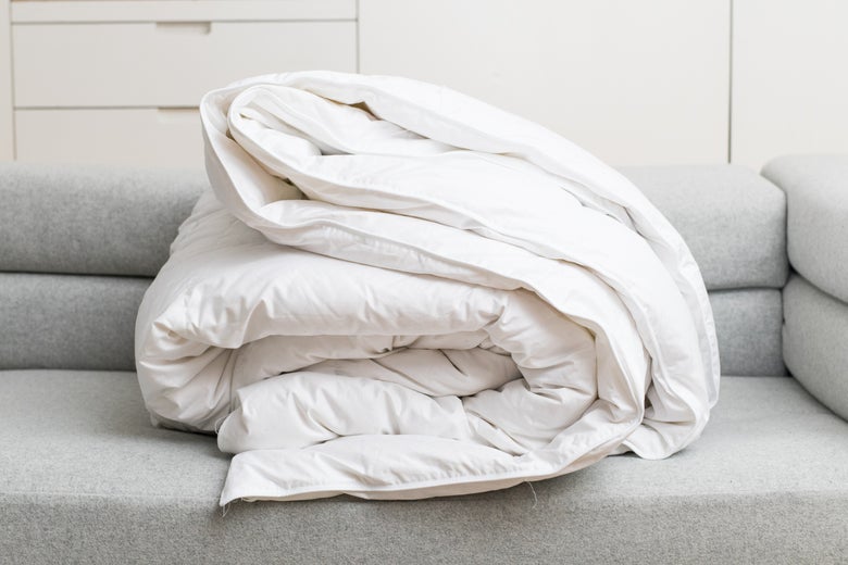 The Company Store Alberta Euro Down Comforter